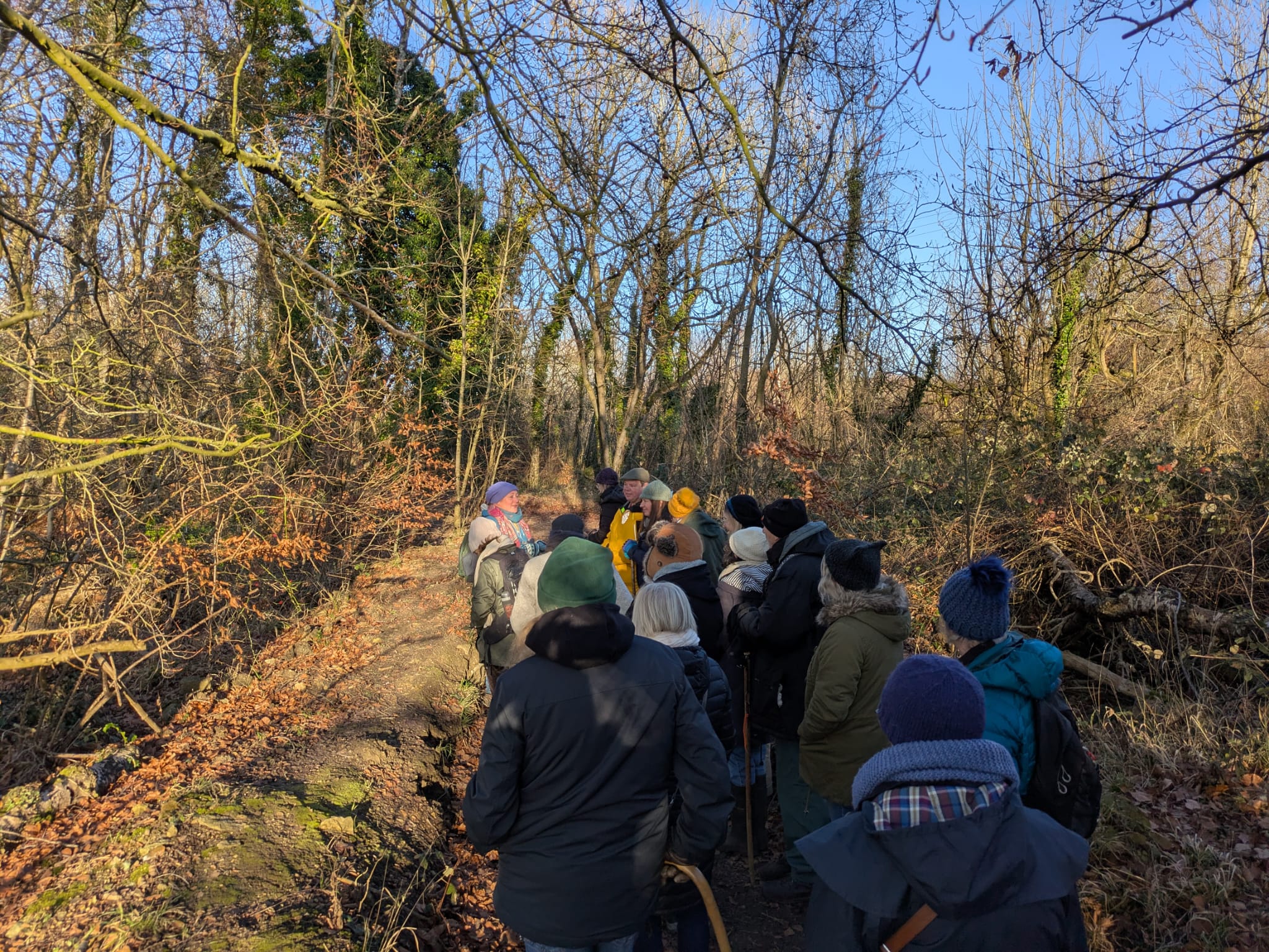 January Herb Walk