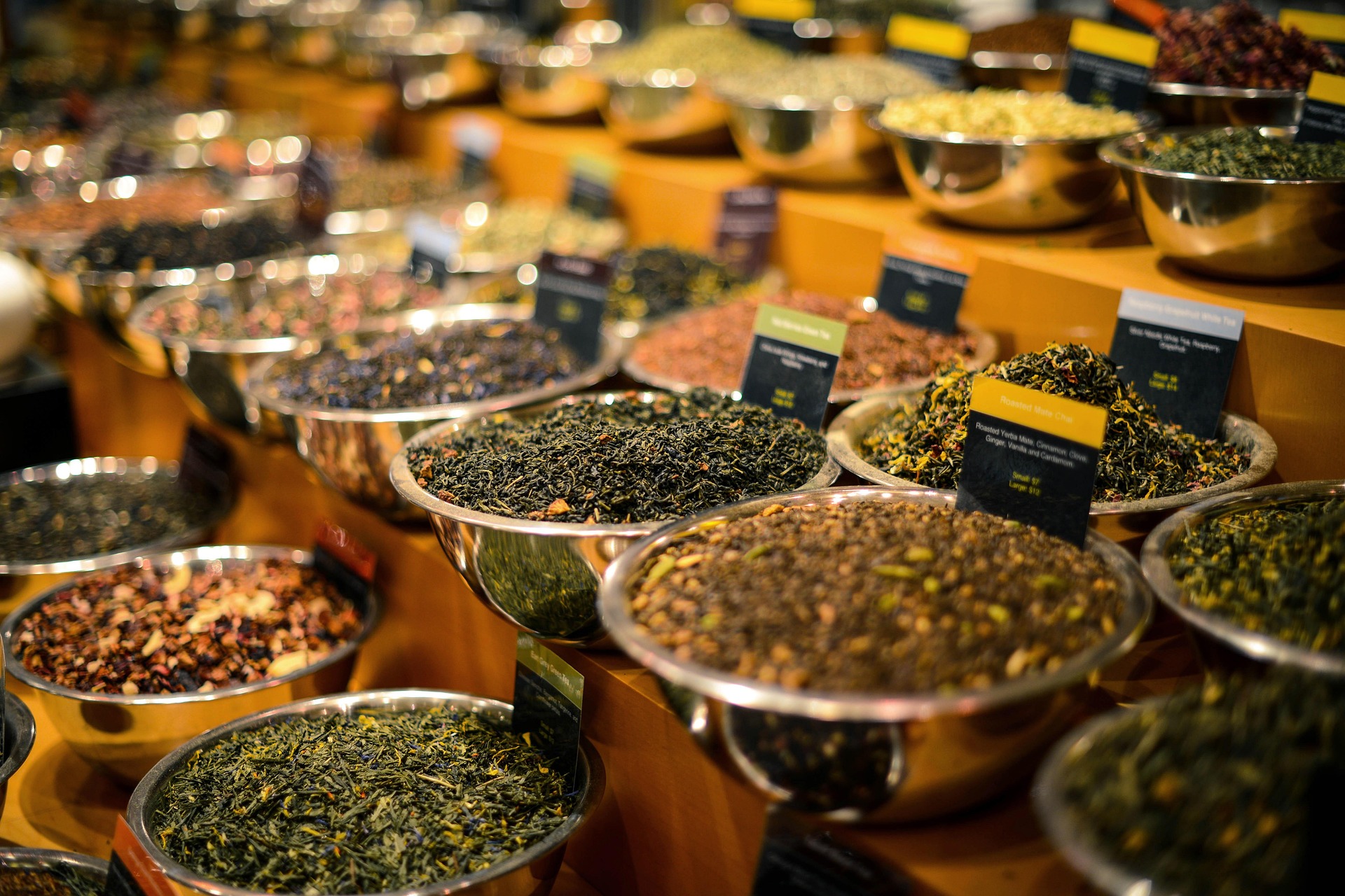 Understanding Herbs and Singing their Songs